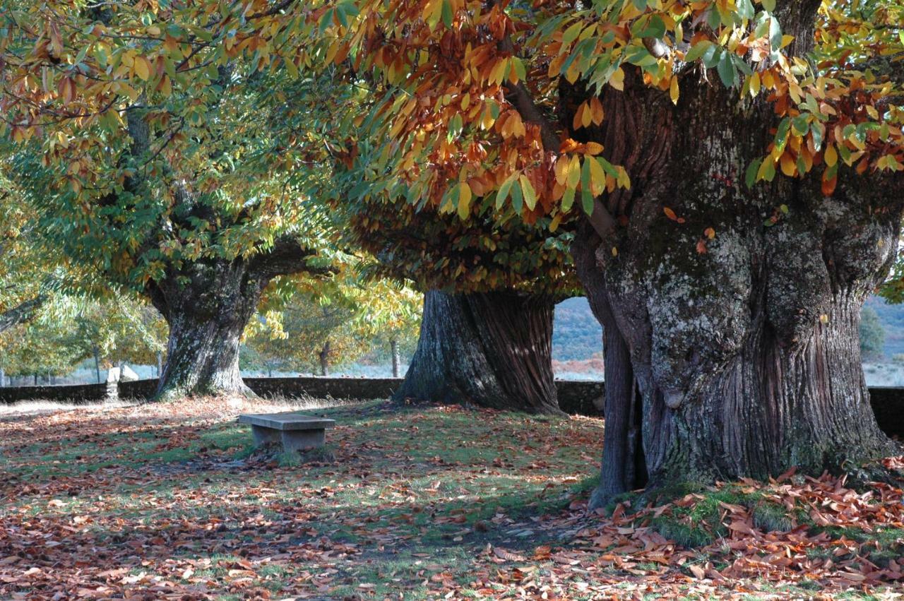 La Era De Sanabria Villa Villarino de Sanabria Buitenkant foto